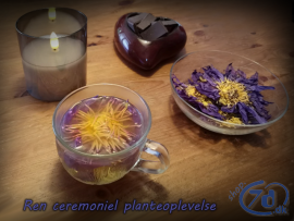 Ægyptisk Blå Lotus –...