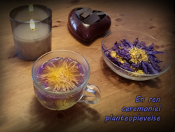 Ægyptisk Blå Lotus – Ceremonielle Blomster